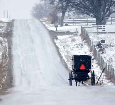 Winter Buggy 